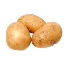 ALU 500 GM