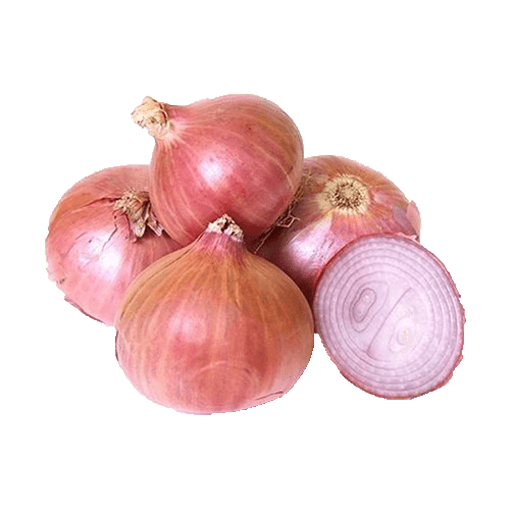 PIAZ 500 GM