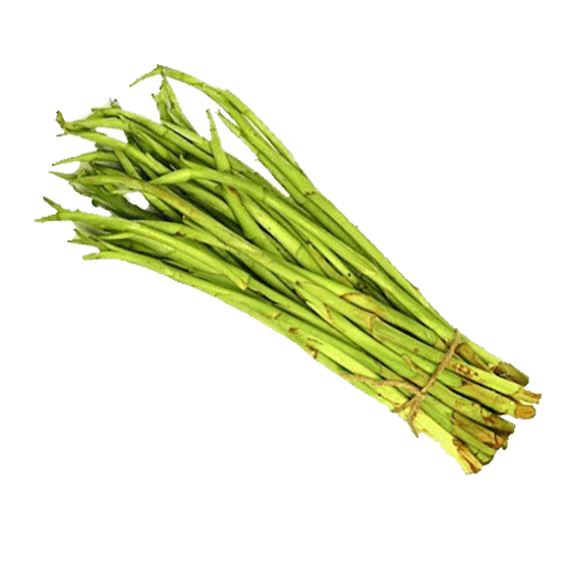 LOTI 500 GM