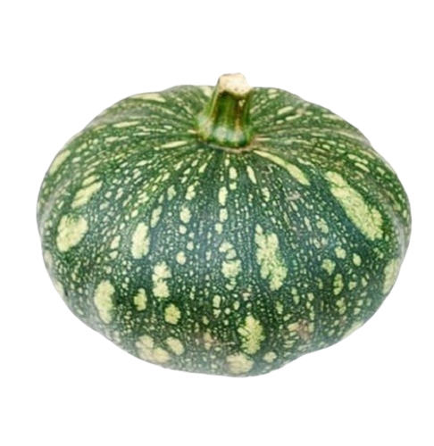Ecom